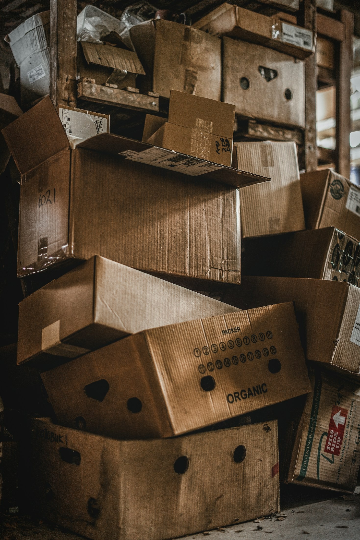 Understanding Offset vs. Flexo Printing for Packaging